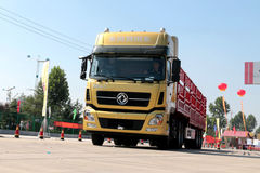 ������תսȪ��  �����³�Լ��ɽ���ú�