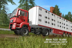 TGS 4x4¶ ũģ17Ƶ