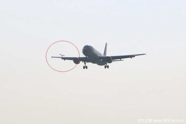 �������ֳ�����⣨һ���������ϳ���