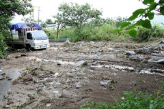 �ش���ʯ�� ��֦�������������ڲ�����