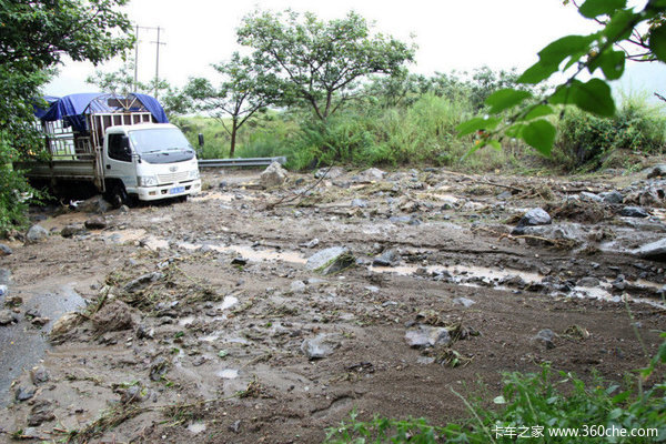 �ش���ʯ��&nbsp;��֦�������������ڲ�����