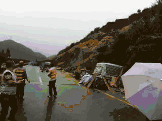 �ش���ʯ��&nbsp;��֦�������������ڲ�����