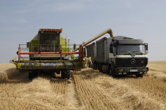 ʷ�������޳���ʵʩ ��ʳ�����۸���