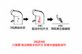 鷳Ǳ Ħ˹12