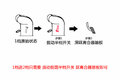 鷳Ǳ Ħ˹12