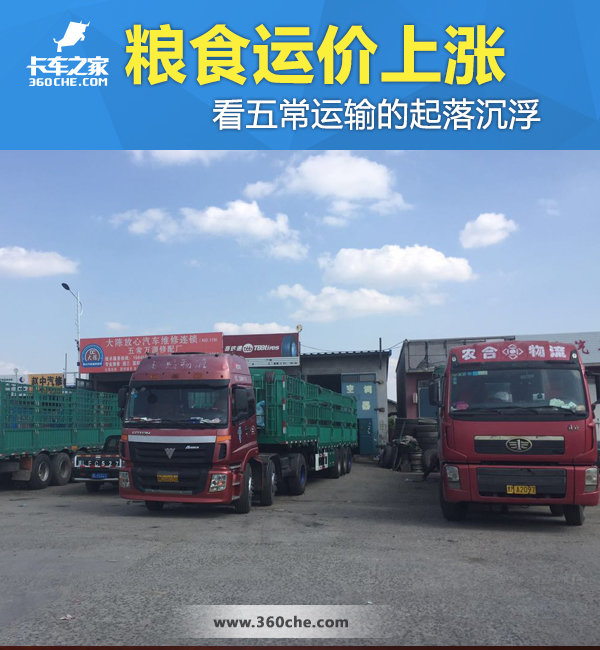 ��ʳ�˼�����&nbsp;&nbsp;���峣��������������