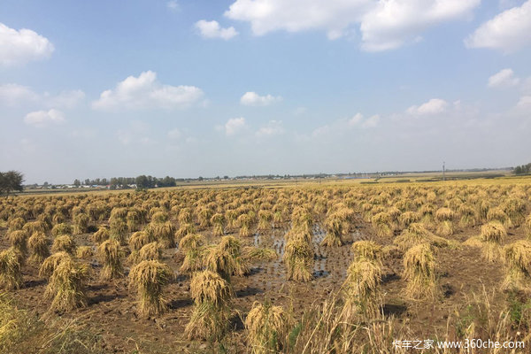 ��ʳ�˼�����&nbsp;&nbsp;���峣��������������