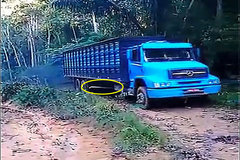 ��˭�Ķ����� �����������������Ļ�