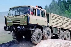 ���źܱ�Ť ԽҰ�����ڰ�����̥ʲô��