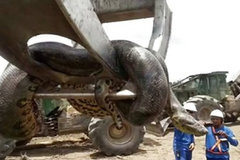 ��������ԭ�� ˮ��ը����������������