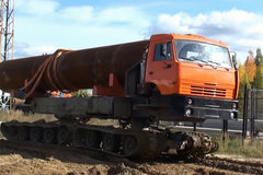 ��Žм���ԽҰ ���Ĵ�����ͷ�۵ĵ���