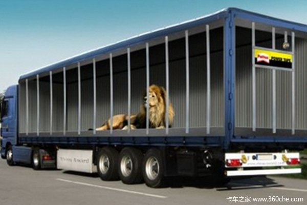 �������޵ĳ�����&nbsp;&nbsp;������Ҫ����Ҫ��