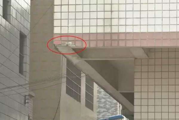 ��ù˾�����5���ש&nbsp;�����۱���������