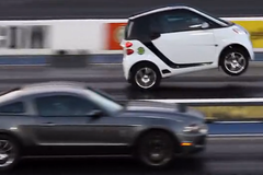 ��ҪС��Smart ����������ɱ����Ұ��