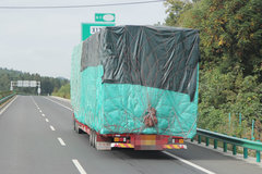 �¹����һ���? ���ѱ��ϳ��޴���봨