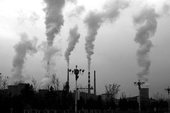 ����˾��������(21)������������ǲ���