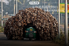 ��ȡ����·�ѵ�921 �γ����ߵ�����ô��