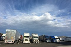 看美式长鼻子车 品美国卡车文化