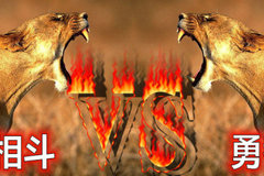 ˫ʨ����Ȫ�Ƕ��� ����Ϋ���Ķ���ƪ