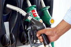 �����ɱ� �������ͱ�׼���й�ϲ����