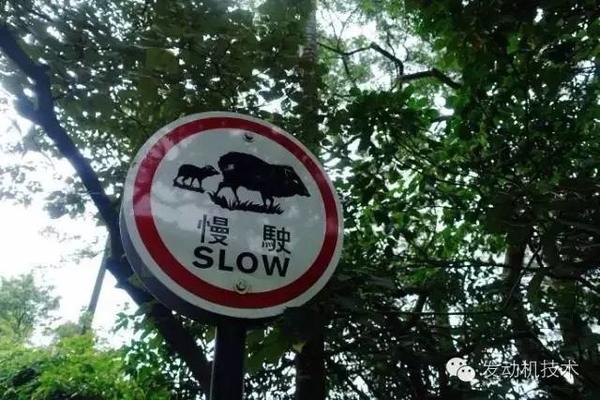 ����������&nbsp;��ײ���Ƕ㣿90%����������