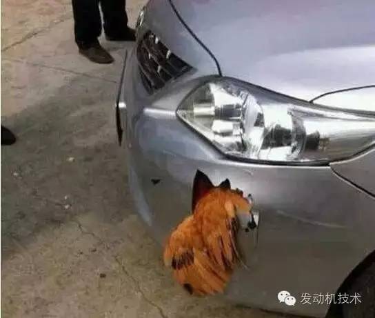 ����������&nbsp;��ײ���Ƕ㣿90%����������