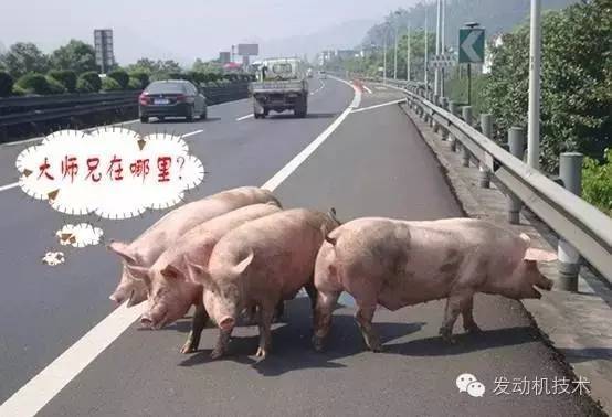 ����������&nbsp;��ײ���Ƕ㣿90%����������