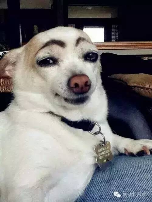 ����������&nbsp;��ײ���Ƕ㣿90%����������