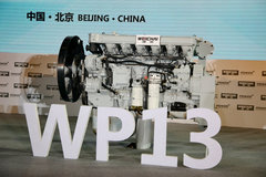 ��ѧ�������� ���巢��������������ʷ