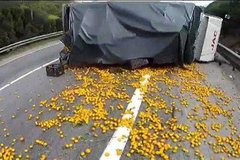 �����������ֳ��� �����෭���������