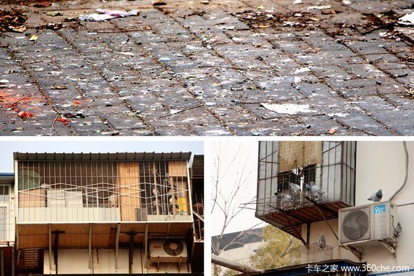 ¥��¥��ȫɵ��&nbsp;������һ���Ῠ������!