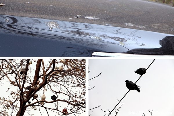 ¥��¥��ȫɵ��&nbsp;������һ���Ῠ������!