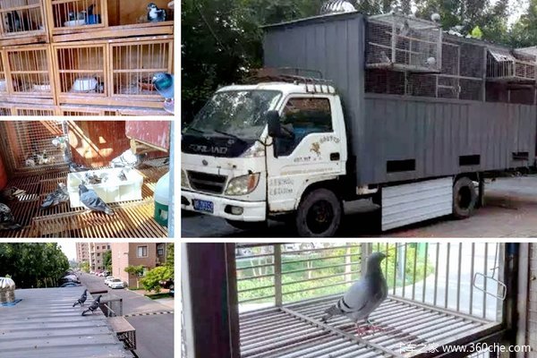 ¥��¥��ȫɵ��&nbsp;������һ���Ῠ������!