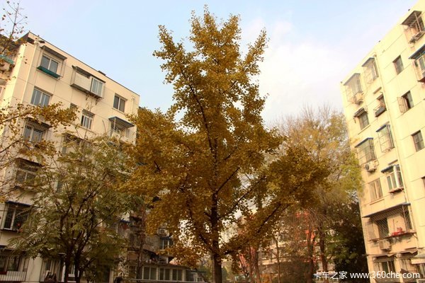 ¥��¥��ȫɵ��&nbsp;������һ���Ῠ������!