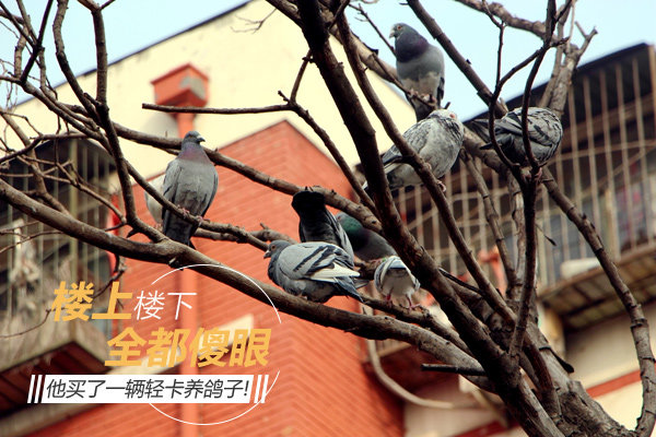 ¥��¥��ȫɵ��&nbsp;������һ���Ῠ������!