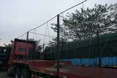 ˫ʮһ֮������ 17��5��屩�ĺ������