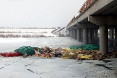 ���������ڲ��� ˫11��ݳ���������