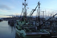 ����ļ��ô󺣹� ��������������(��)