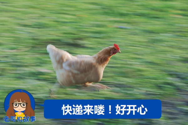˾(24)Ϳ