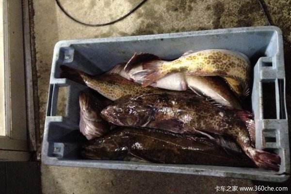 �����70�껹��&nbsp;����������������6��