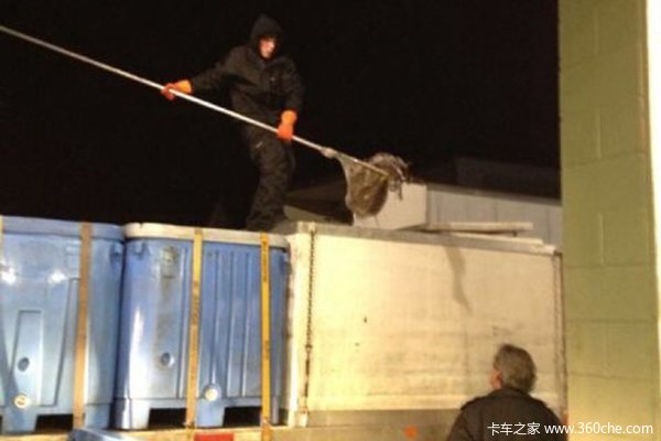 �����70�껹��&nbsp;����������������6��