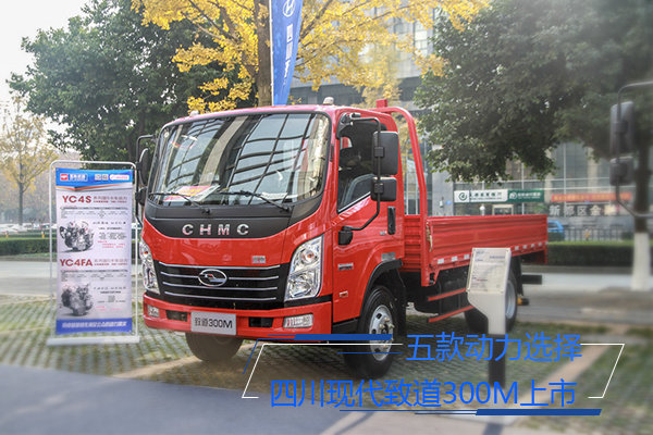 5�ֶ���ѡ��&nbsp;�Ĵ��ִ��µ�300M�ɶ�����