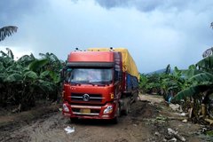 �������㽶(��) ��·����ÿλ˾������