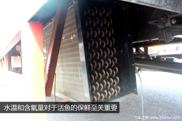 高速上的飞机车那些年超过我们的鱼车