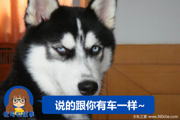 ����˾��������(27)ҩ�����̲ο����ݣ�