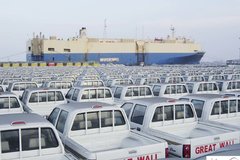 ɳ������ �й�Ƥ���г������������