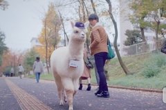 �ձ��ʾ�����5������· �ų���