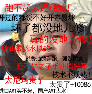 汕德卡欧曼都有了 盘点不可错过的AMT车