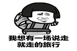 中国驾照牛气冲天 我们组团去国外开车