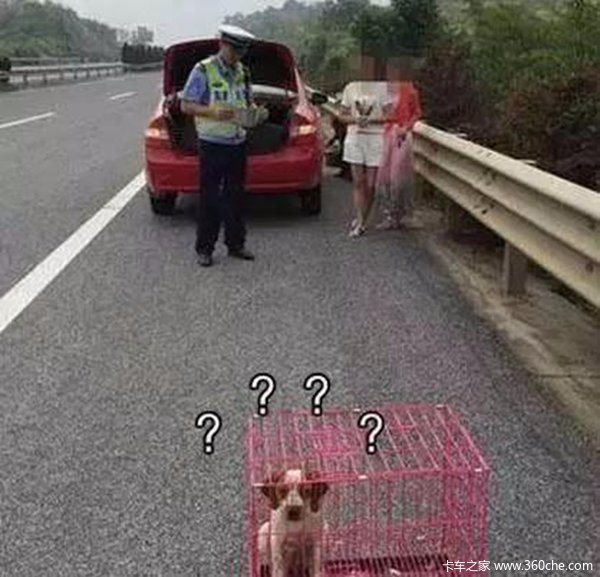 ����˾��������(30)�����Ǳ������ĲҰ�